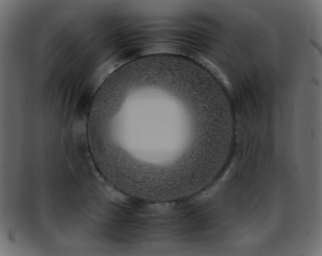 X0000095690937200801081245