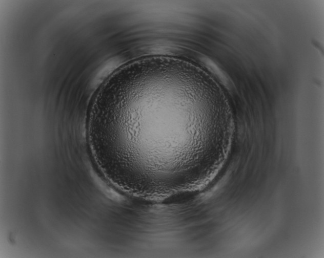 X0000095690938200801081245