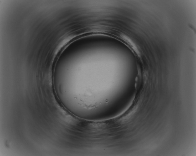 X0000095690939200801081245