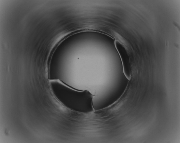 X0000095690940200801081245