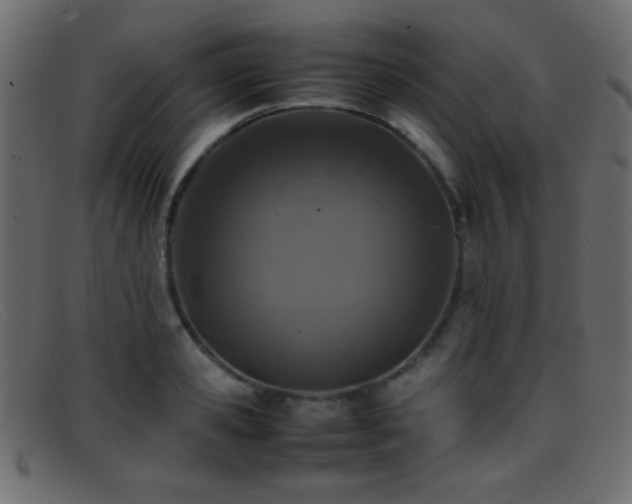 X0000095690941200801081245