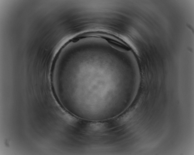 X0000095690943200801081245