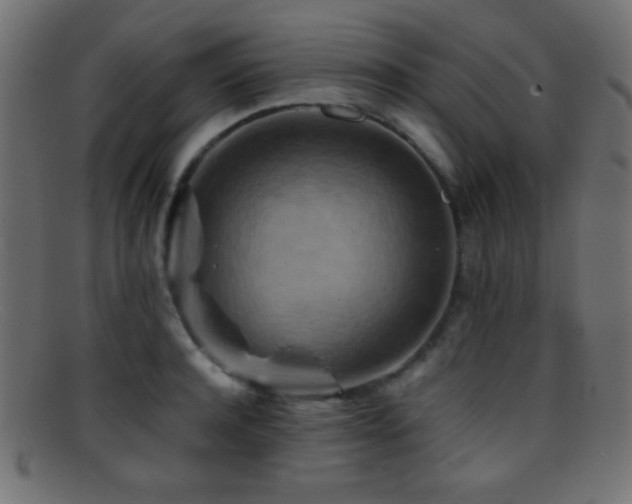 X0000095690944200801081245