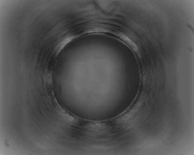 X0000095690945200801081245