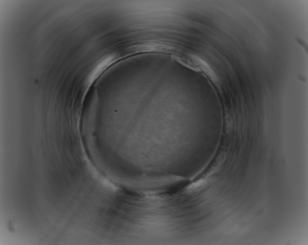 X0000095690946200801081245