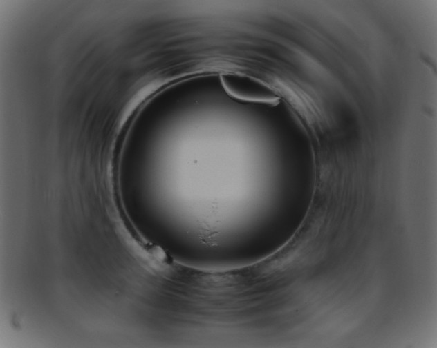 X0000095690947200801081245
