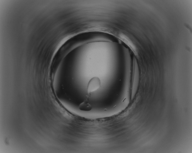 X0000095690948200801081245