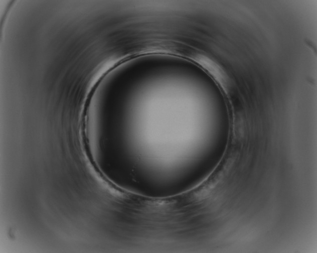 X0000095690949200801081245