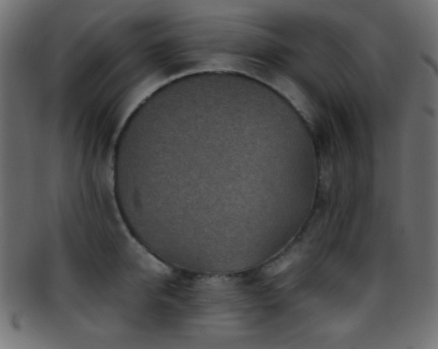 X0000095690950200801081245