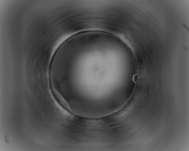 X0000095690951200801081245