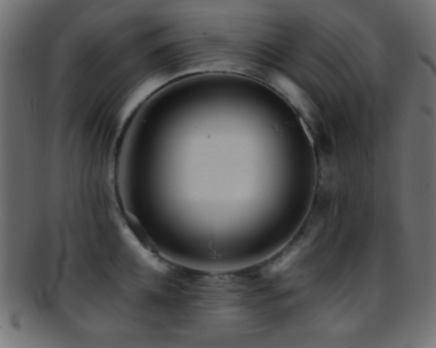 X0000095690952200801081245