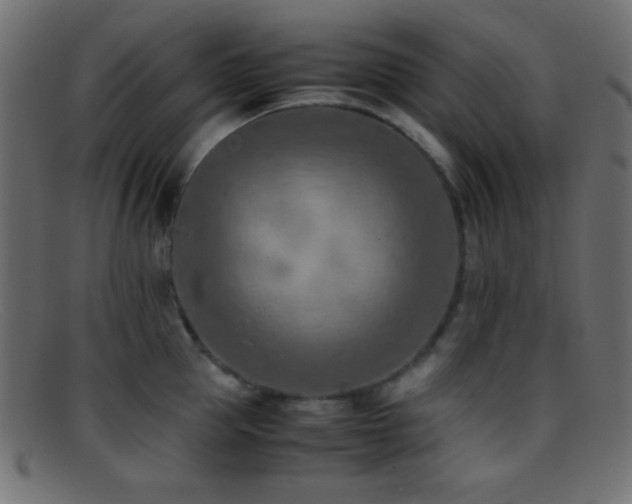X0000095690953200801081245