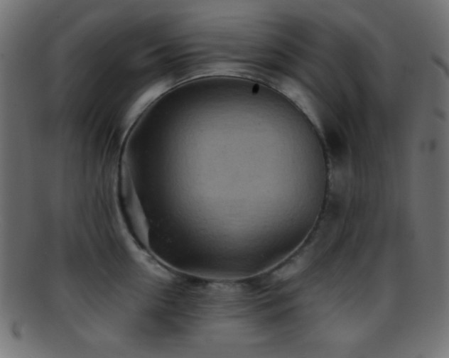 X0000095690954200801081245