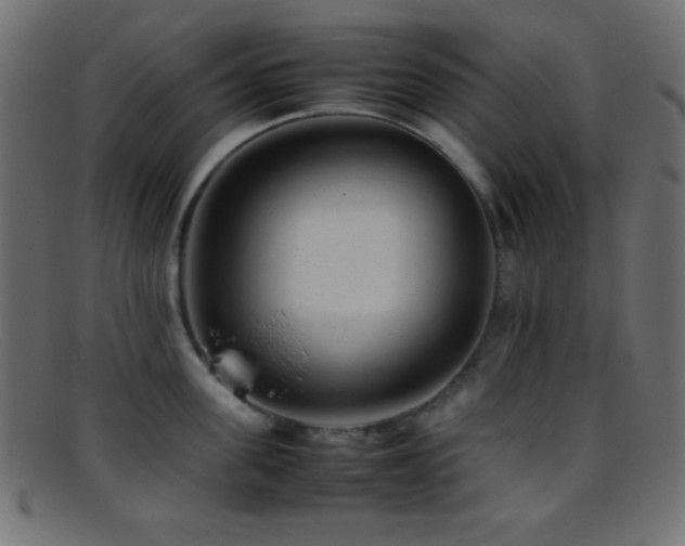 X0000095690955200801081245
