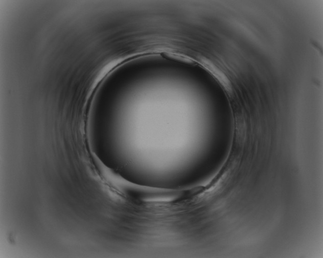 X0000095690956200801081245
