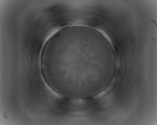 X0000095690957200801081245
