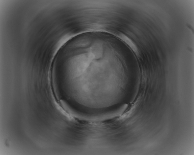 X0000095690958200801081245