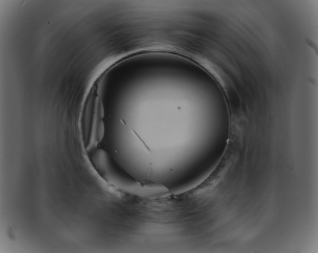 X0000095690959200801081245