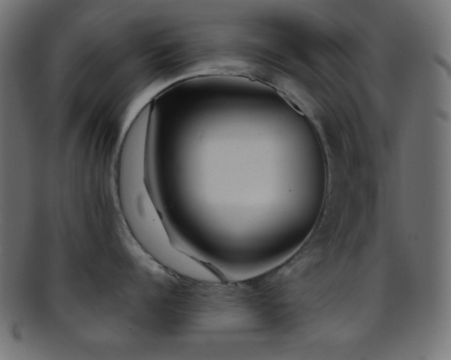 X0000095690960200801081245