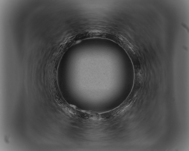 X0000095690961200801081245