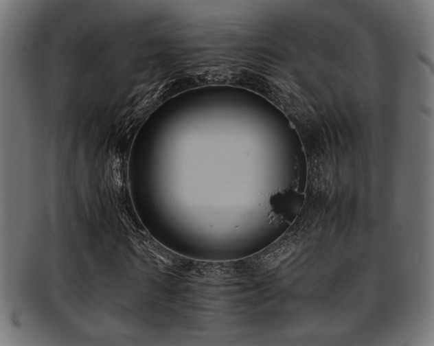 X0000095690962200801081245