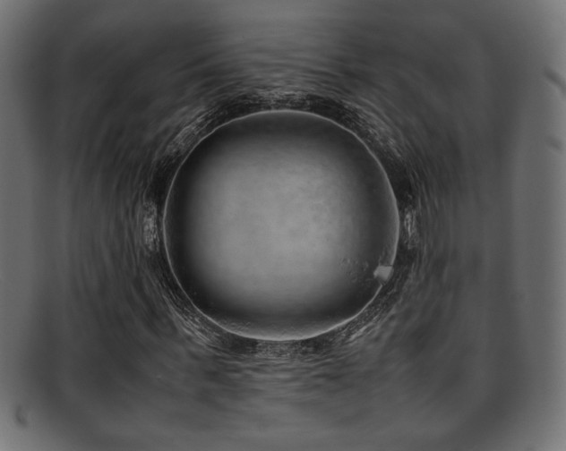 X0000095690963200801081245