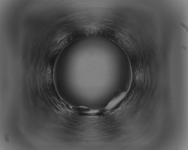X0000095690964200801081244