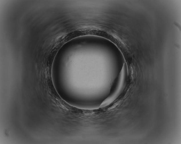 X0000095690965200801081244