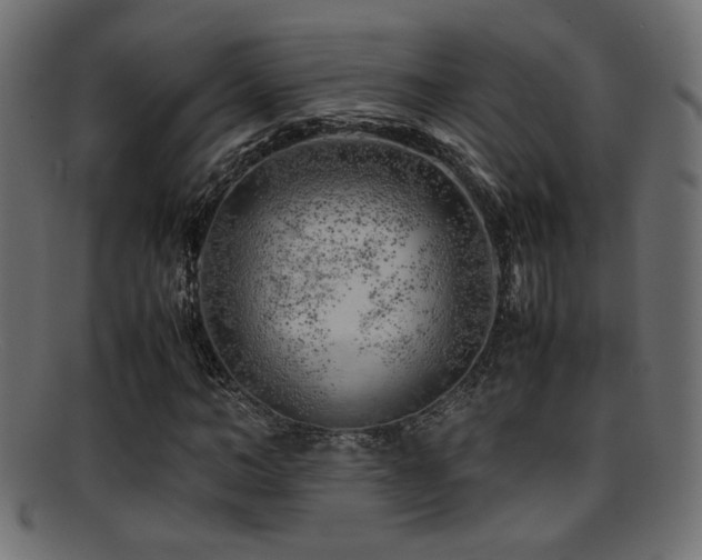 X0000095690966200801081244
