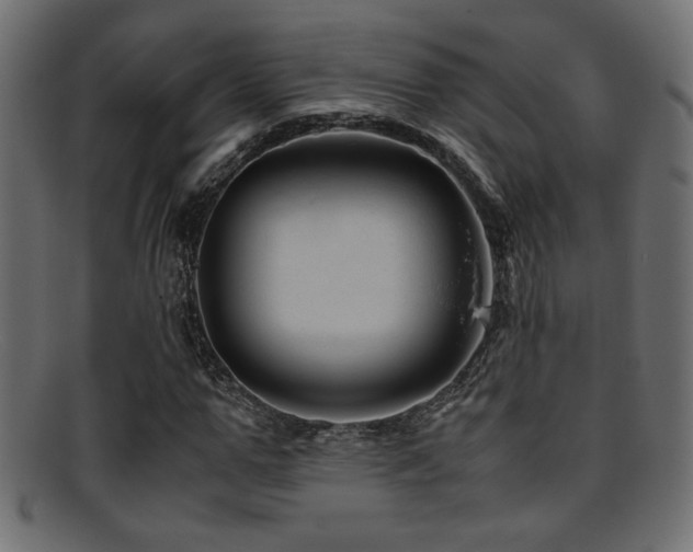 X0000095690967200801081244