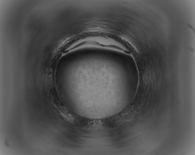 X0000095690968200801081244