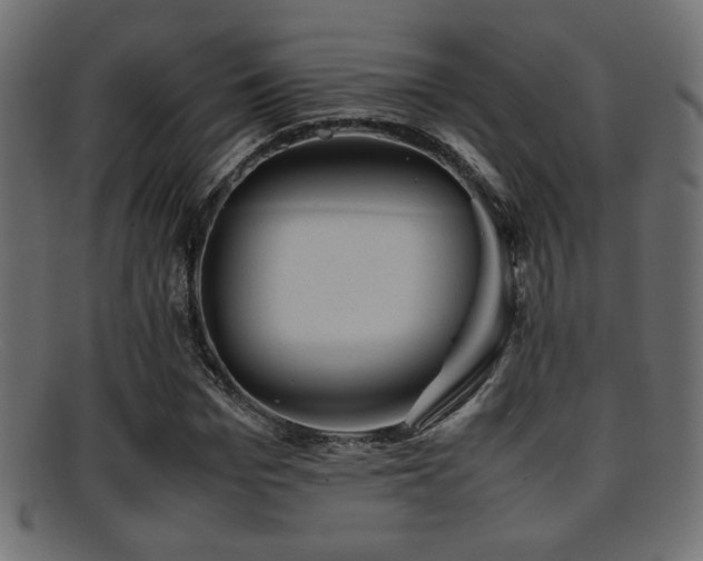X0000095690969200801081244