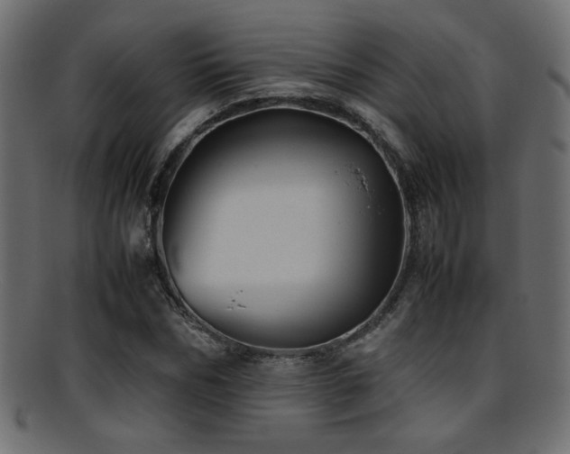 X0000095690970200801081244