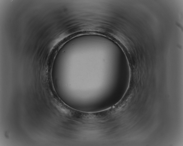 X0000095690971200801081244