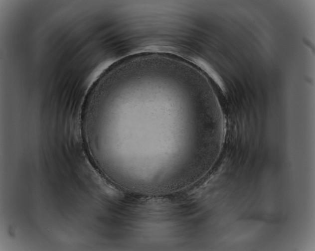 X0000095690972200801081244