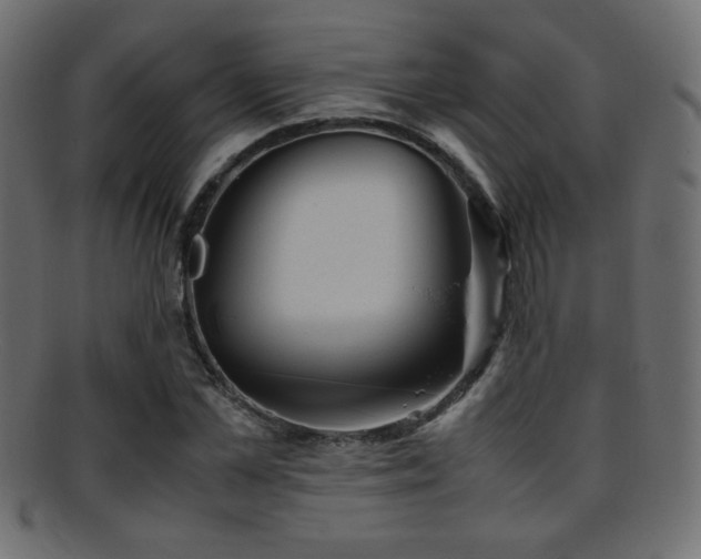 X0000095690973200801081244
