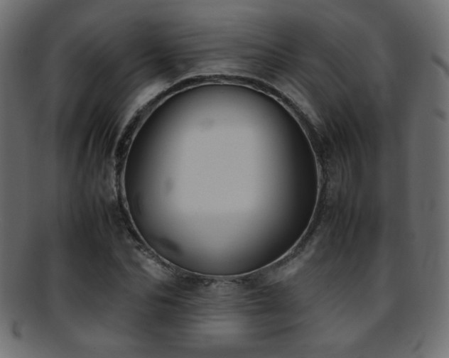 X0000095690974200801081244