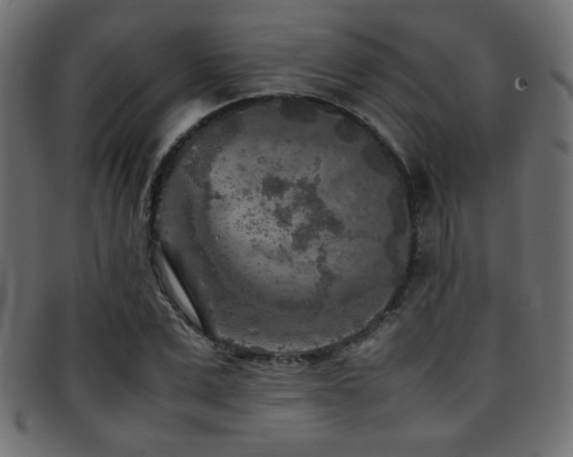 X0000095690975200801081244