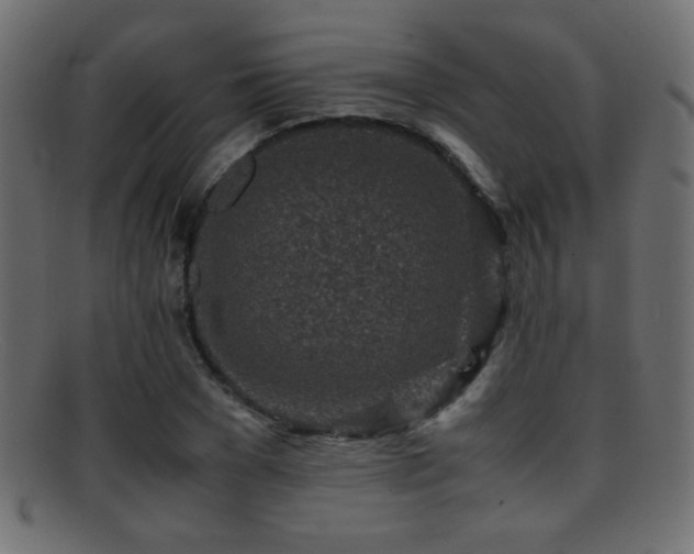 X0000095690977200801081244