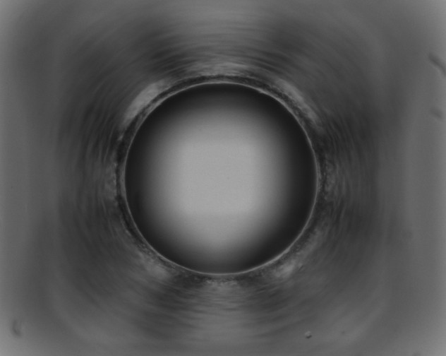 X0000095690978200801081244