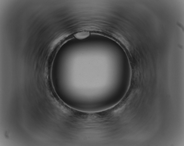 X0000095690979200801081244