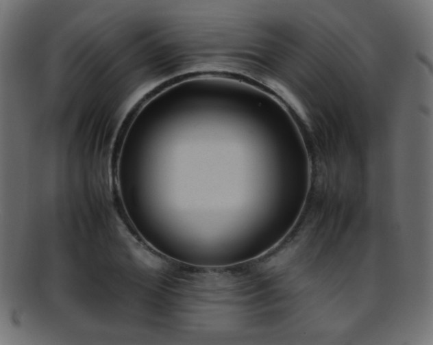 X0000095690980200801081244