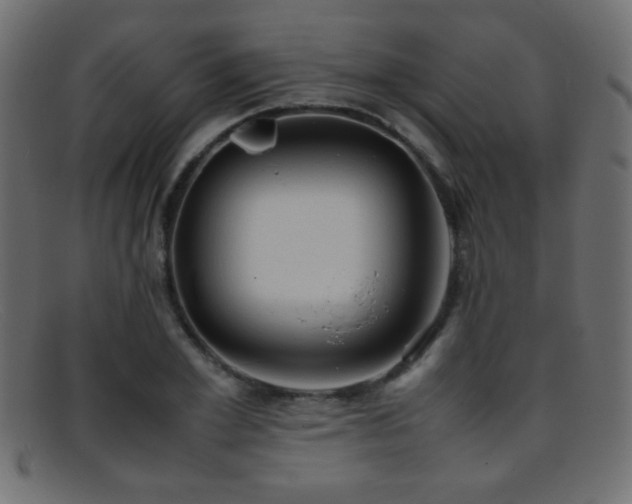 X0000095690981200801081244