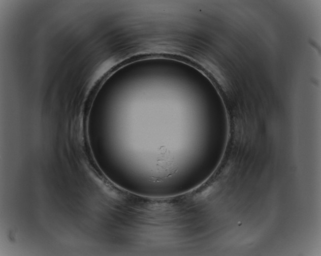 X0000095690982200801081244