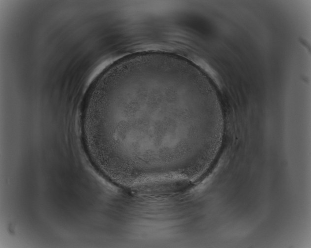 X0000095690983200801081244