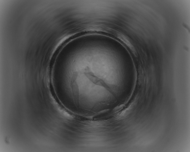 X0000095690984200801081244