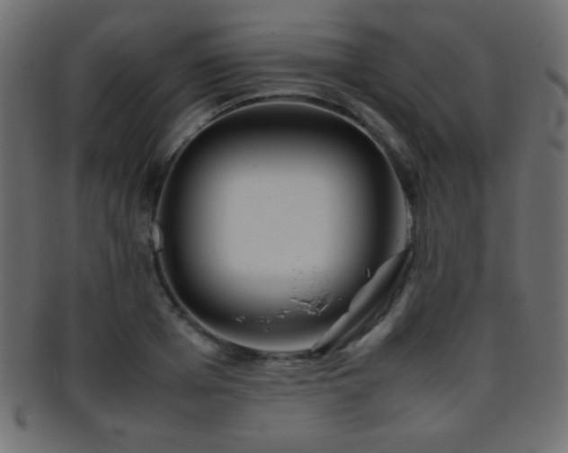 X0000095690985200801081244