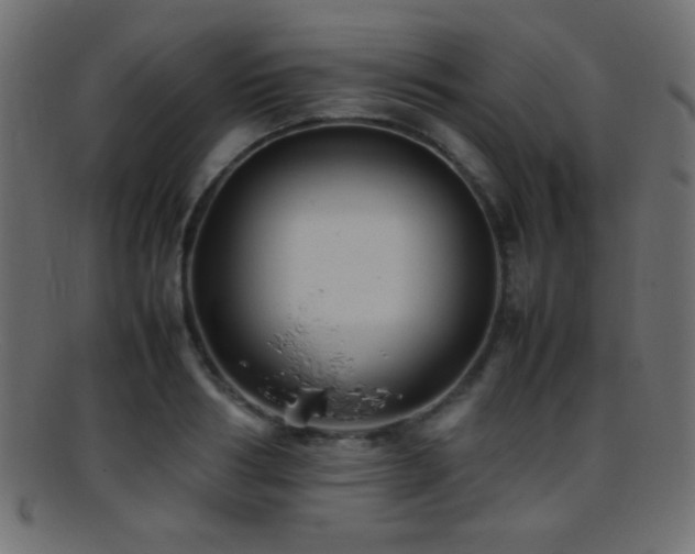 X0000095690986200801081244