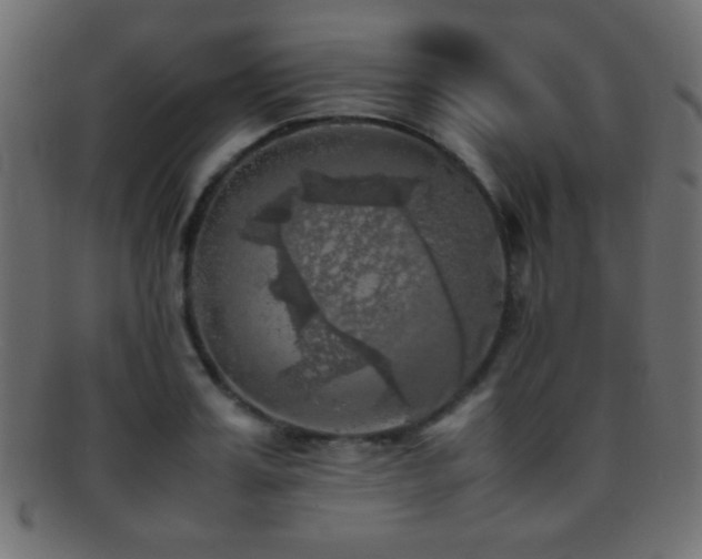 X0000095690987200801081244
