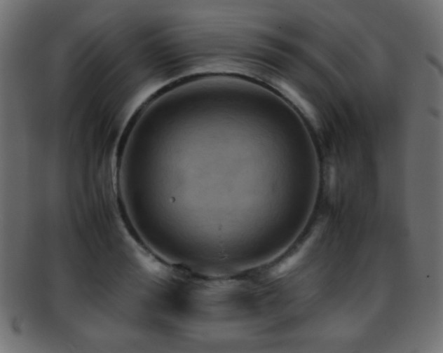 X0000095690988200801081244